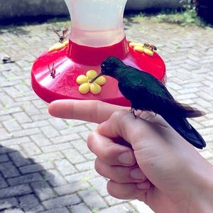 Meet your Posher, Delaney